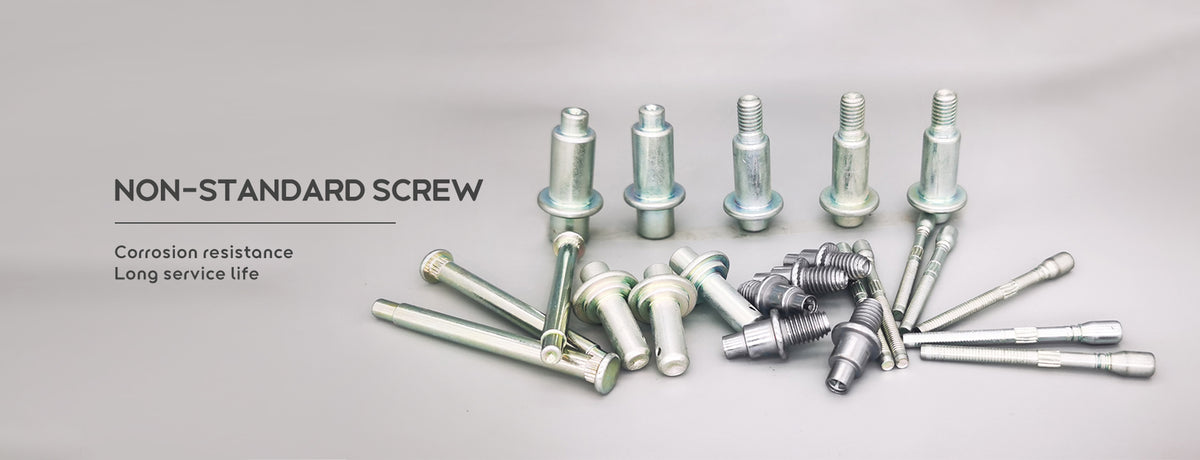 Foshan Anjiu Electric Auto Parts Co., Ltd. 